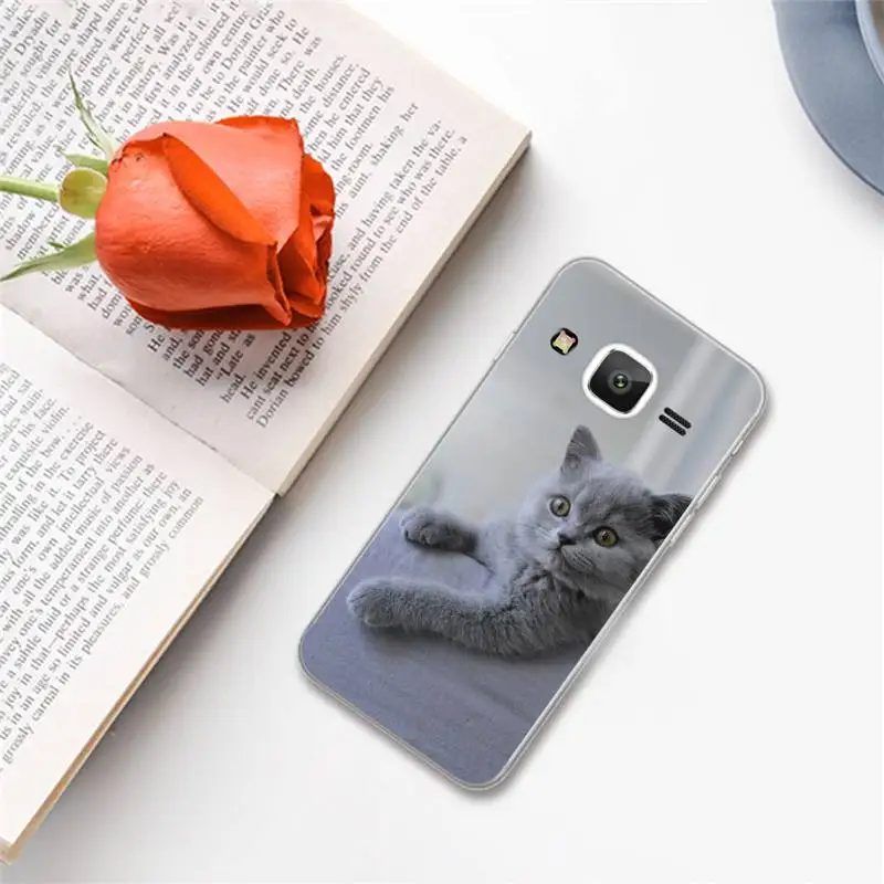 

British shorthair cat Phone Case For Samsung Galaxy J2 J4 J5 J6 J7 J8 2016 2017 2018 Prime Pro plus Neo duo