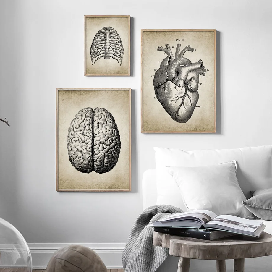 Мозг палец Череп Анатомия человека винтажный настенный плакат Арт холст картины