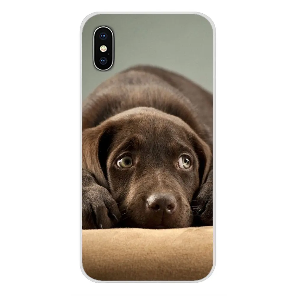 images 9 Прозрачные мягкие чехлы Чехлы забавные Лабрадор собака для huawei G7 G8 P7 P8 P9 P10 P20 P30 Lite Mini Pro P Smart Plus - Цвет: images 9