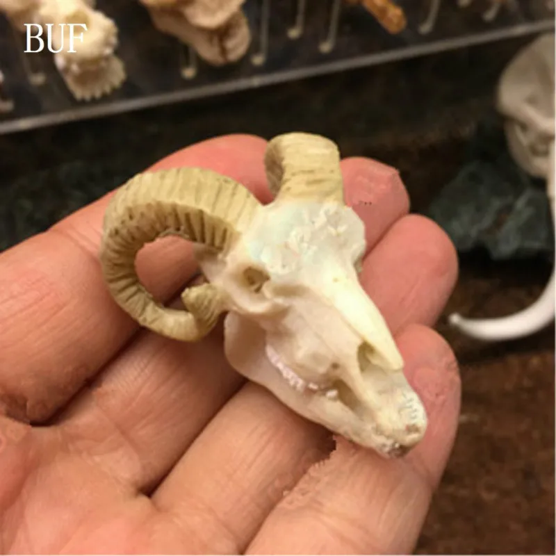 2 шт. Смола ремесло Аквариум Украшение череп козла статуи креативный бар