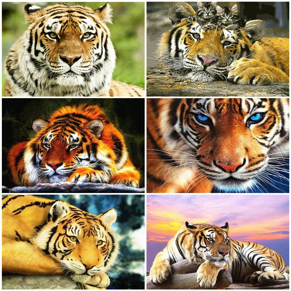 AZQSD Набор для раскрашивания по номерам холст животные сделай сам без рамки