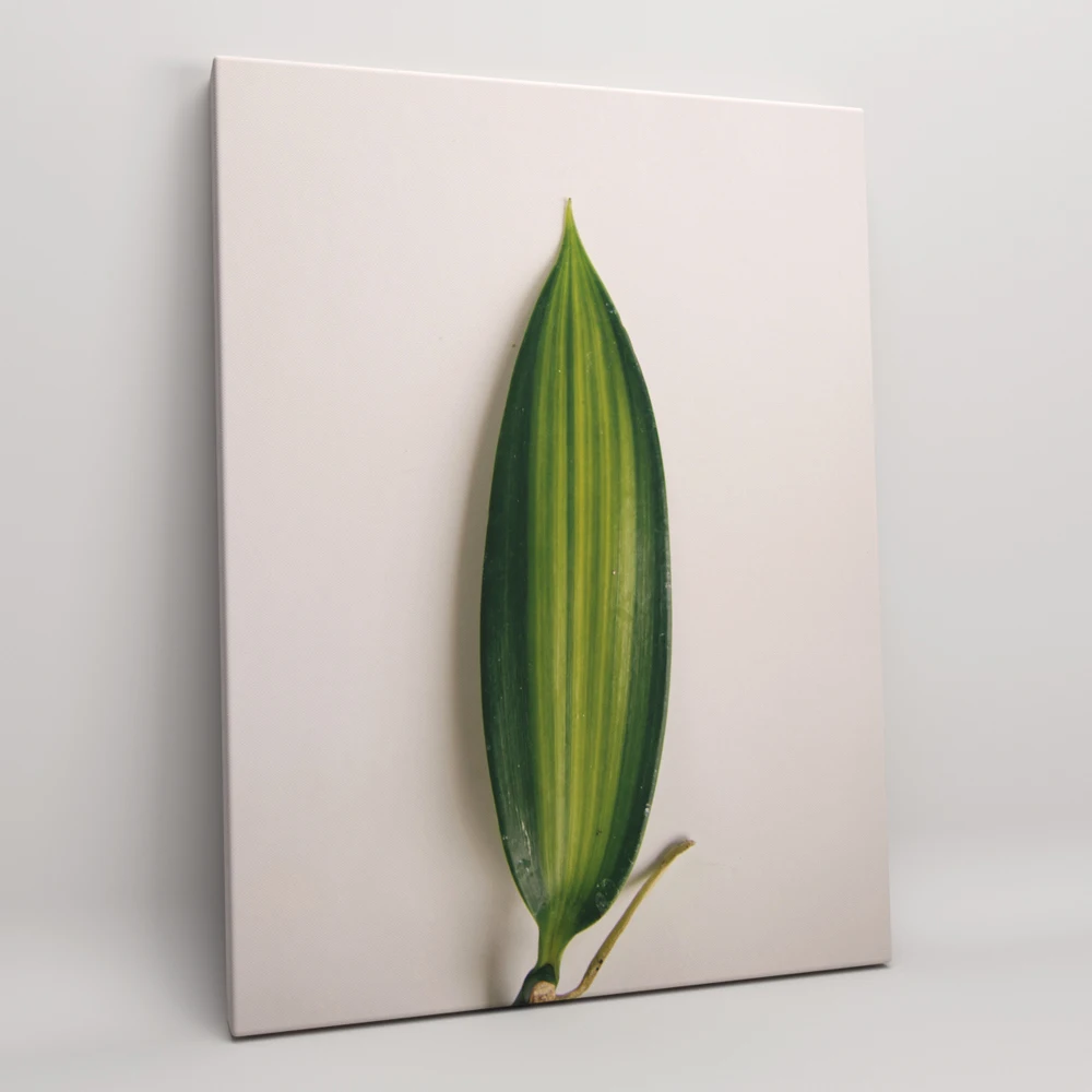Poster on canvas home decor picture for interior &quotgreen leaf&quot a wooden stretcher size 30x40 cm | Painting &amp Calligraphy