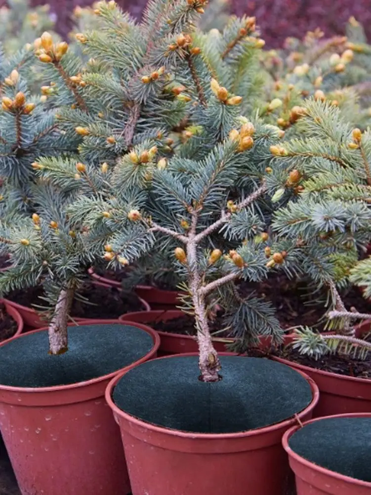Войлочная ткань защитное стекло Нетканая гербицид дышащая увлажняющая