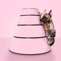 pet dog things for cat feeding food water melamine bowl container dishes for animals drinking bowls for cats kittens dogs large
