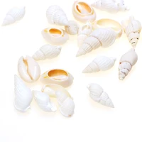 50pcslot 20 27mm natural sea shell white snail beads for summer marine decoration jewelry making diy necklace earring
