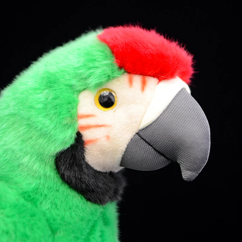 Мягкая плюшевая игрушка Macaws Ara зеленый Макао попугай пситтаковые модель птицы