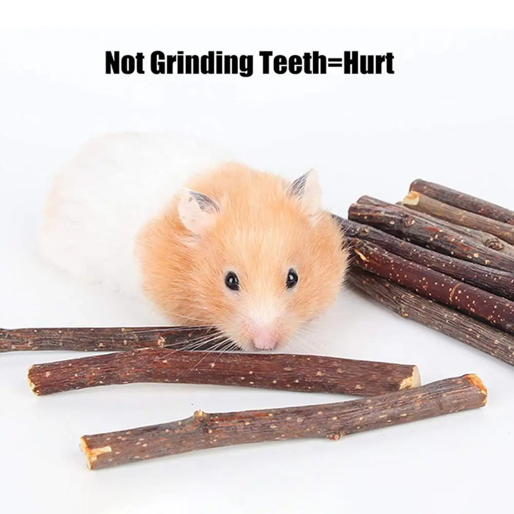 

4 шт./компл. легкая молярная игрушка устойчивая к укусам натуральная древесина шлифовальные зубы хомяк шпажки жевательная игрушка для белки...