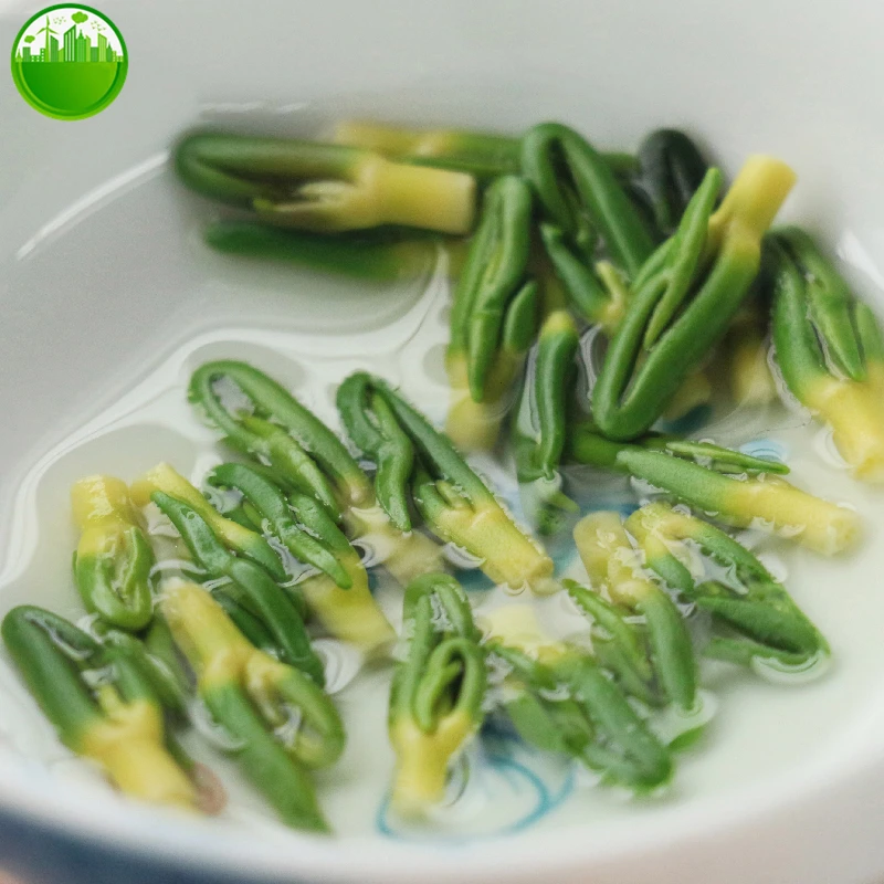 

Lotus Core Lotus Plumule Lian Zi Xin Herb Tea