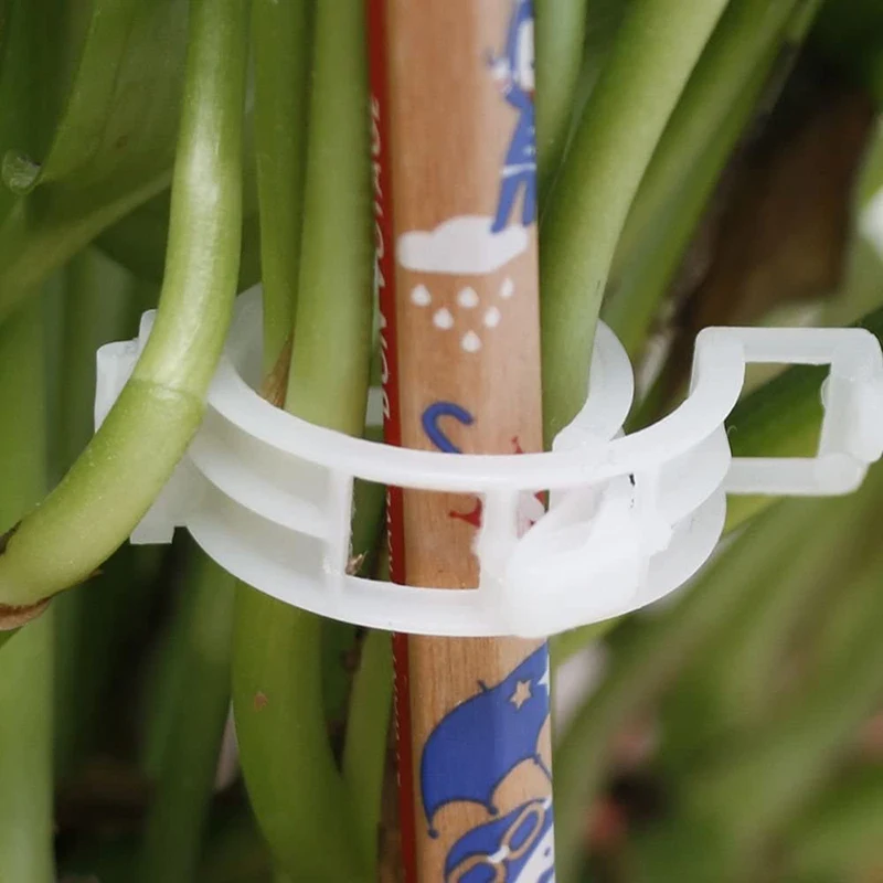 

Plant Support Clips Garden Trellis Durable Vegetable Supports Clips Makes Crop to Grow Upright and Healthier For Plants XHC88