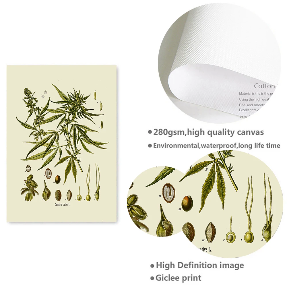 Винтажные ботанические постеры и принты на стену кухни травы лекарственные