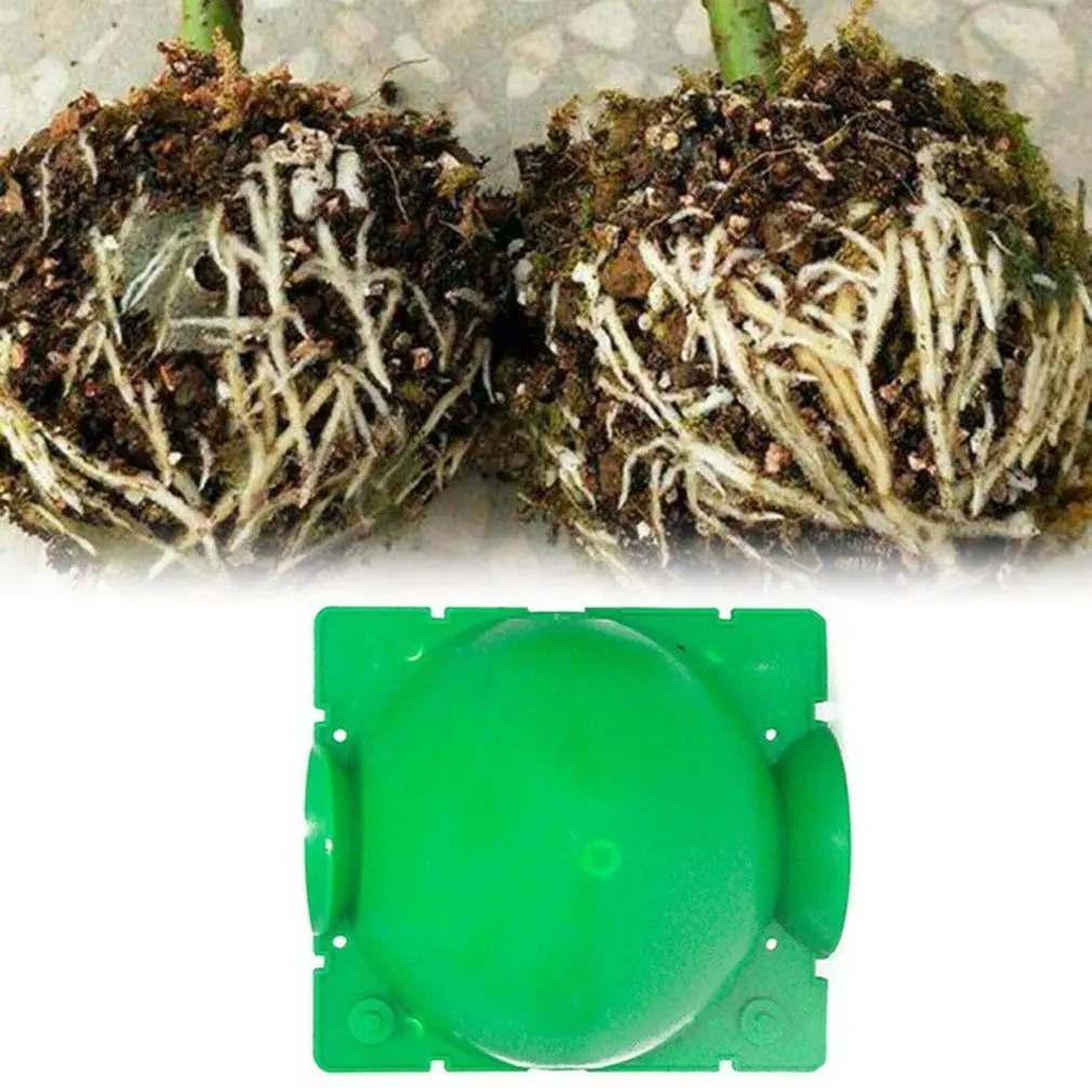 

Plant Root Growing Box Grafting Rooting Ball High Pressure Gardening Plant Root Ball fruit Plant tree Rooting
