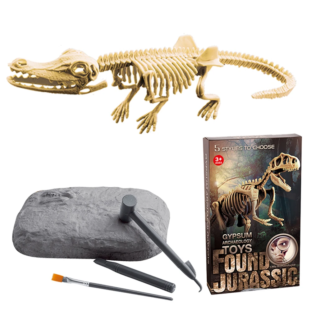 

Dinosaur Education Toys DIY Simulation Dinosaur Digging Toys Excavation Simulation Dinosaur Skeleton Fossils Model