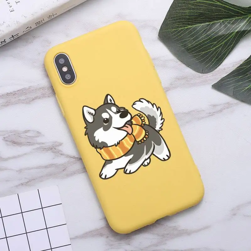 

Wolf Husky Dog Puppy animal luxury protective Phone Case shell Candy Color for iPhone 6 7 8 11 12 s mini pro X XS XR MAX Plus