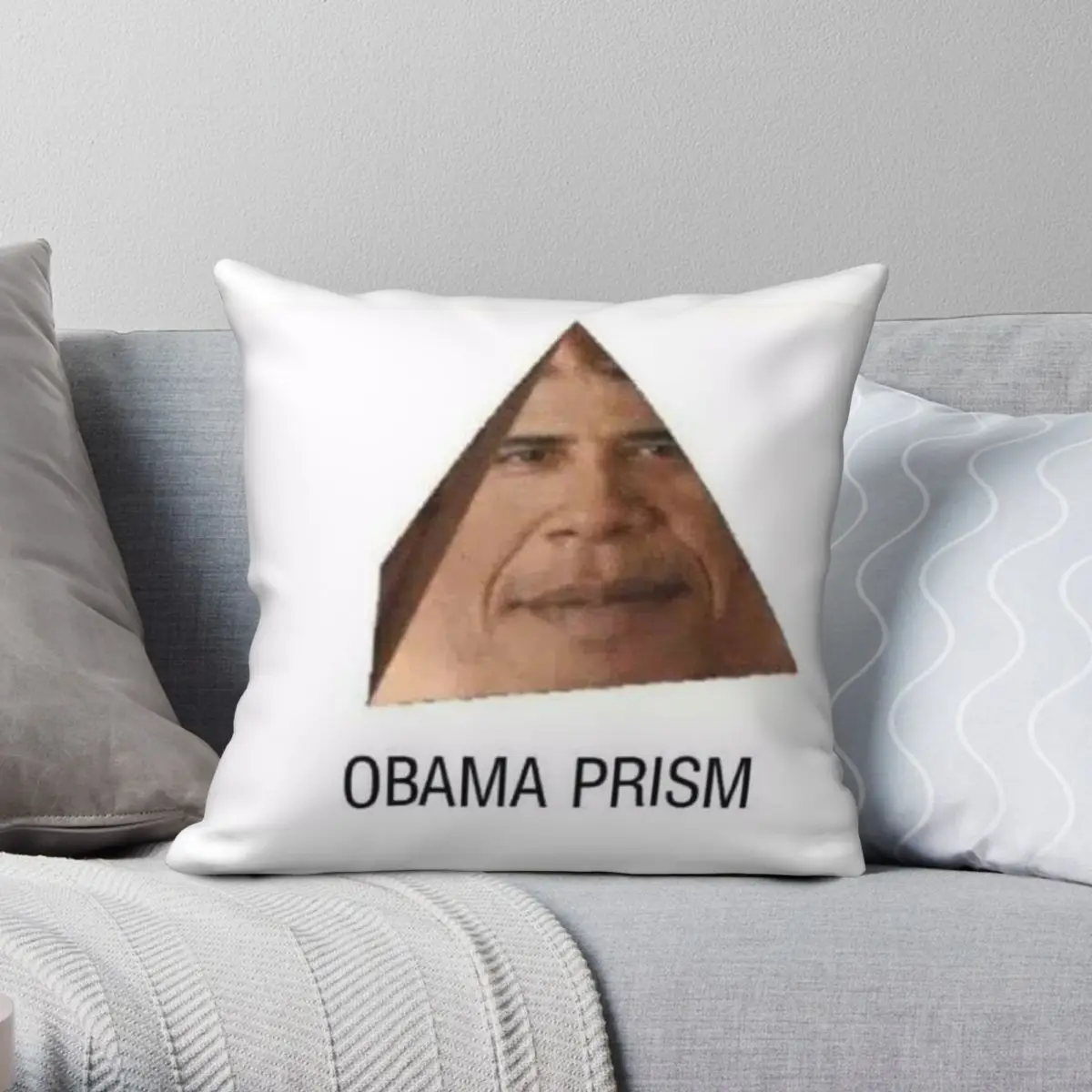 Funda de almohada cuadrada de poliéster, lino y terciopelo con cremallera, decoración para cama, The Barack Prism Shadow Meme