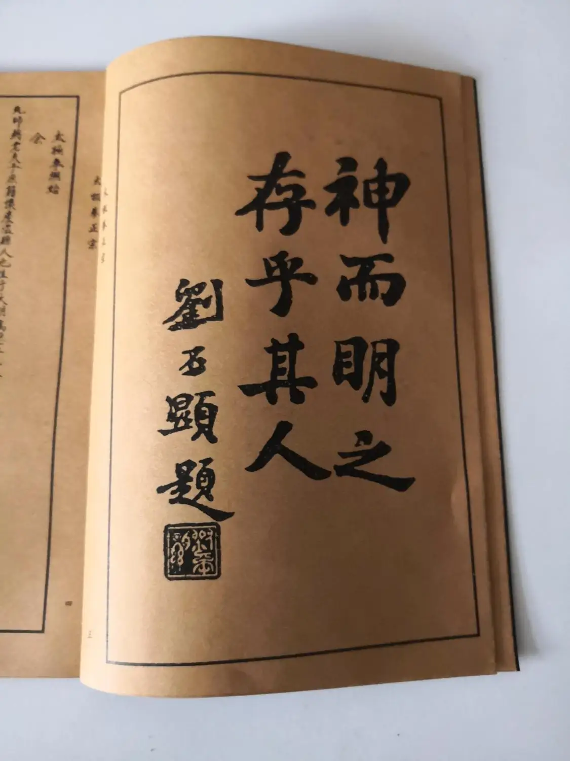 Лесная книга старая антикварная рисовая бумага (Тай Чи) Древние книги | Дом и сад