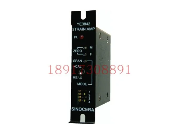 

YE3842 Dynamic Strain Gauge