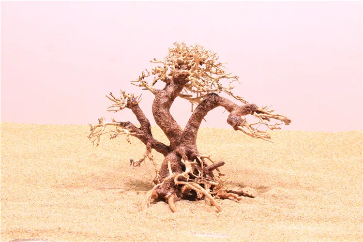 

Brazilian Moss Tree Cuckoo Root Thailand Branch Aquarium bonsai driftwood Moss tree