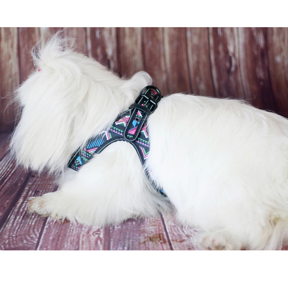 Пэдди шлейка для домашних животных и поводок Один комплект Светоотражающий