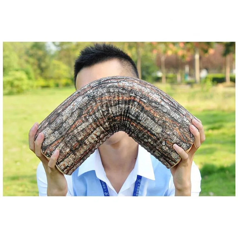 Имитация бревна текстура большое ивовое дерево Пирс моделирование съемные