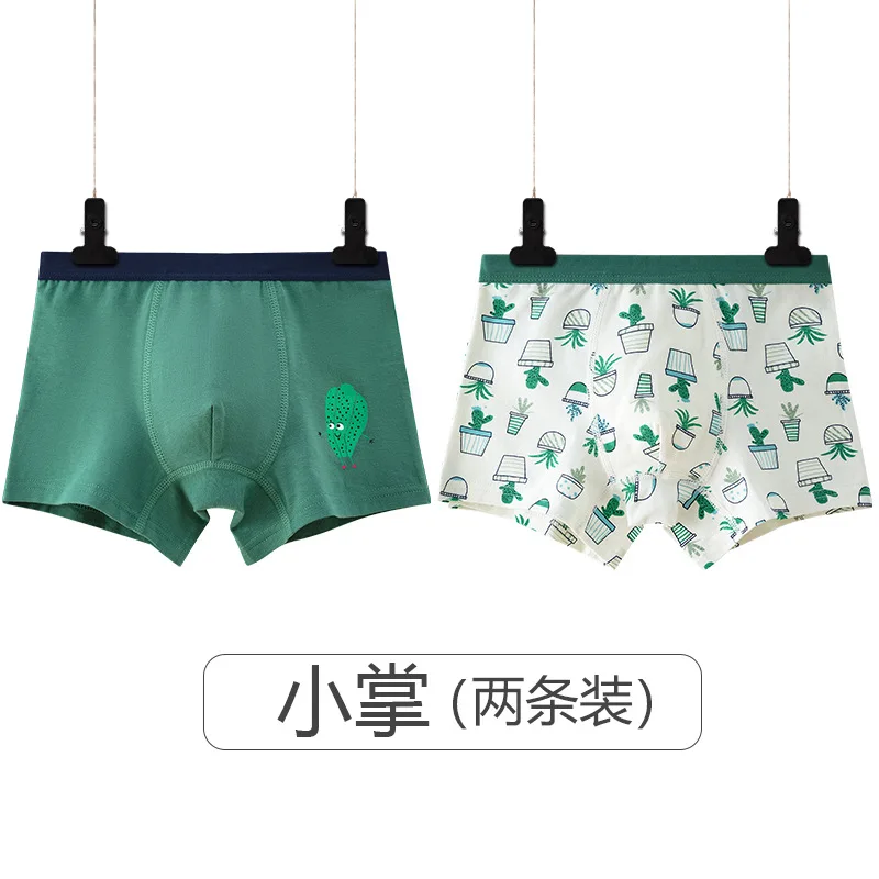 2 шт./упаковка хлопковые трусы для мальчиков |