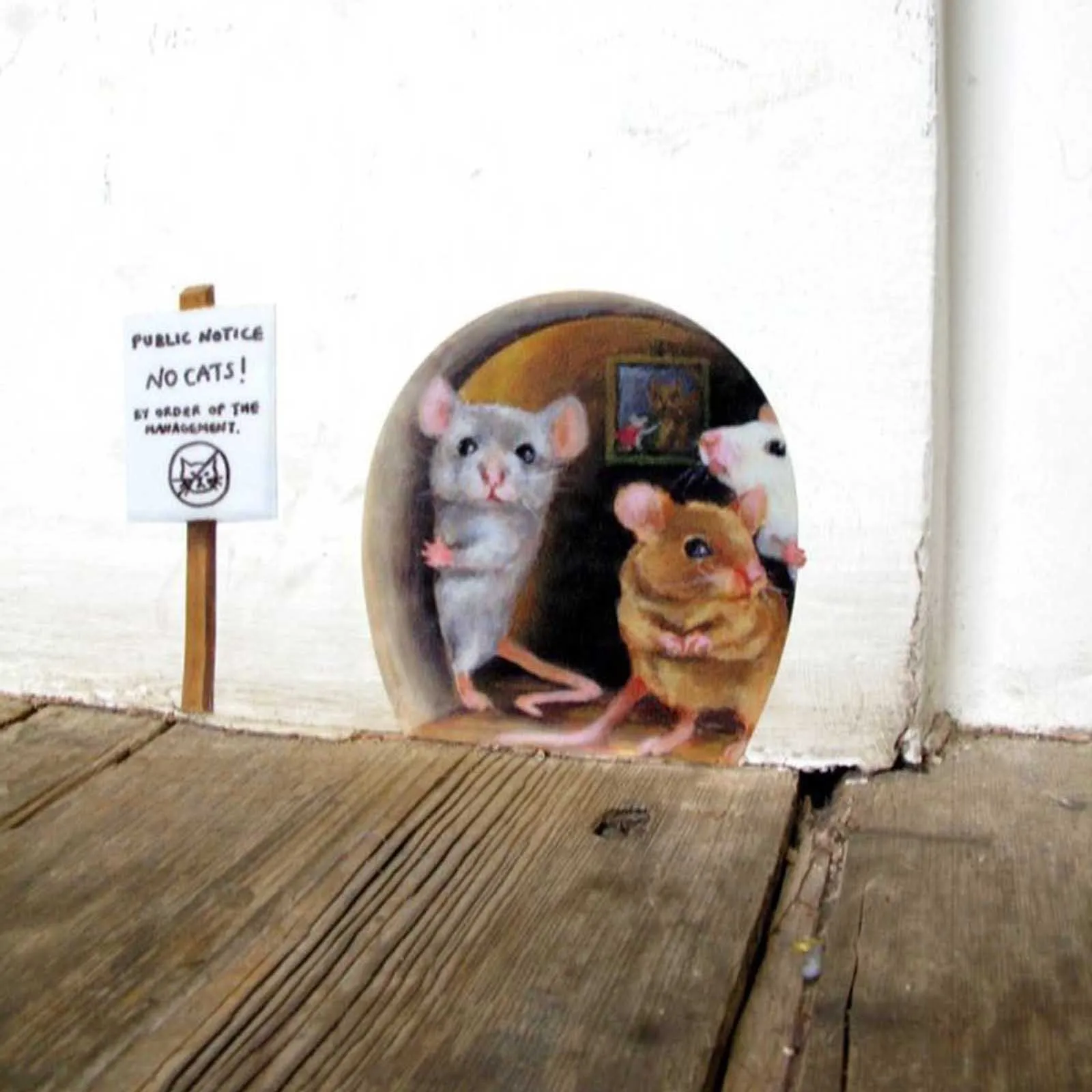 Мышка спряталась. Мышонок прячется. Красивая крыса в природе. Кошки-мышки. Иллюстрация к потешке мыши водят хоровод.