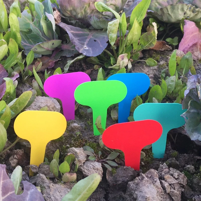 

100pcs Garden Labels Plant Classification Sorting Sign Tag Ticket Plastic Writing Plate Board Plug In Card Colorful