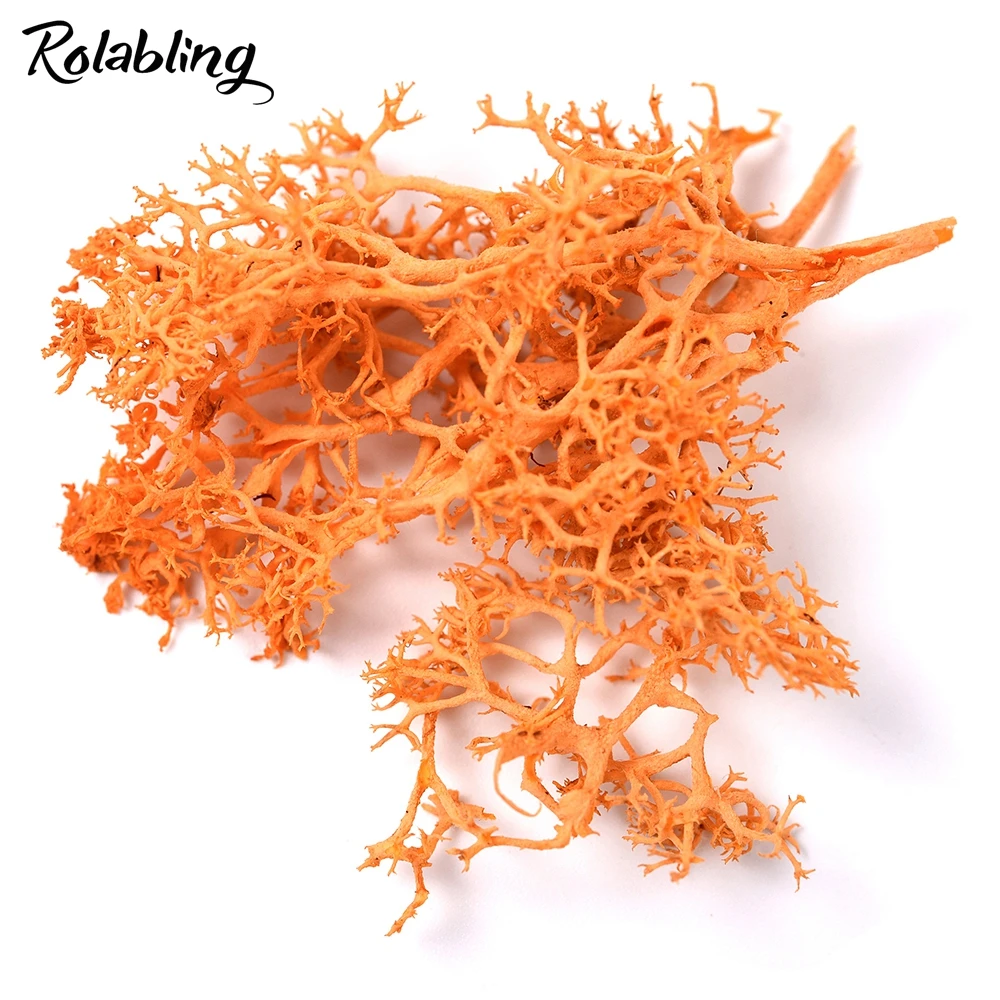 Rolabling 1 упаковка сушеные морские водоросли украшения для ногтей красочные 3d