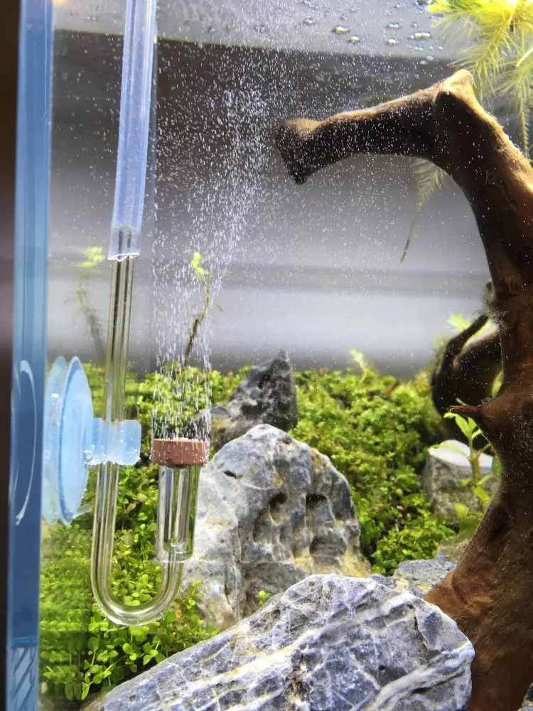 Магнитный соленоидный контрольный аквариумный клапан с контролем CO2 прозрачный