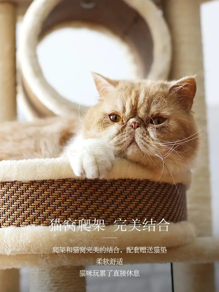 Рамка для кошек Sisal большая рамка скалолазания одного кота | Дом и сад