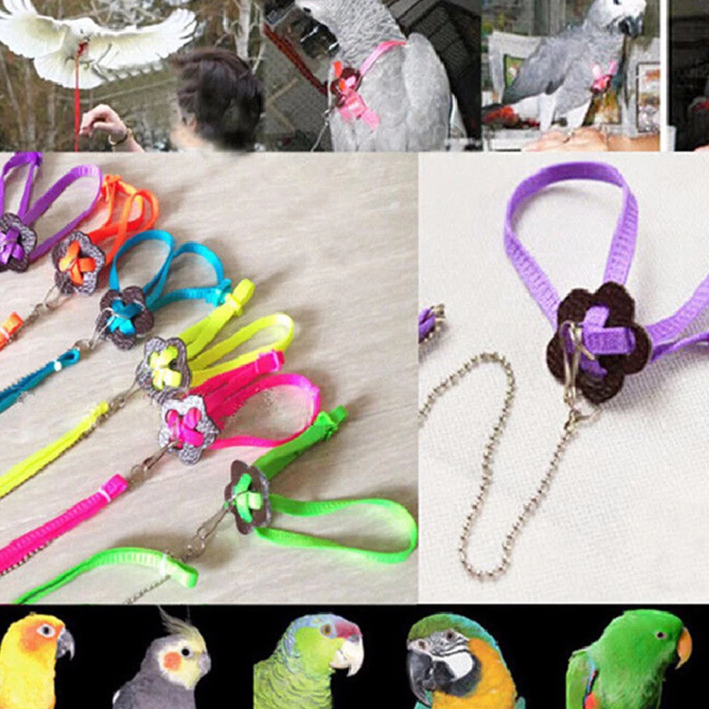 Свинцовый поводок для животных регулируемый птицы | Дом и сад
