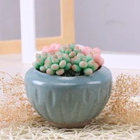 korean ins cute mini succulent flowerpot sand glaze ceramic thumb basin green plant potted home balcony creative gardening