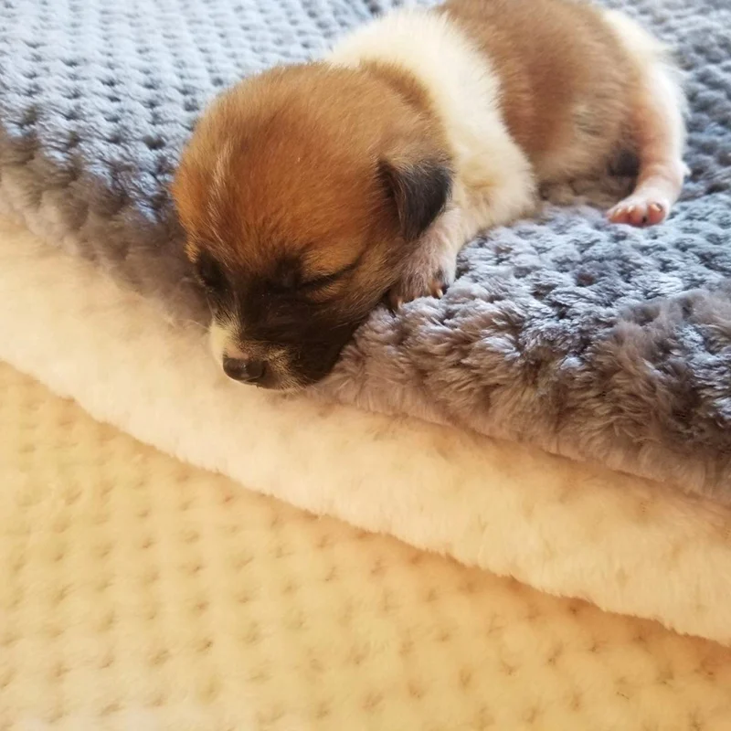 Мягкое одеяло для домашних животных зимняя кровать собак и кошек сетчатый теплый