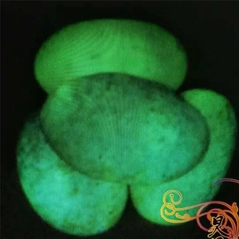 Красиво инкрустированные с флуоресцентным камнем женские кольца | Дом и сад