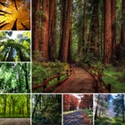 Настенный гобелен с 3D рисунком пляжа, леса, подвесная Полиэстеровая ткань, домашнее искусство, декоративное семейное постельное белье