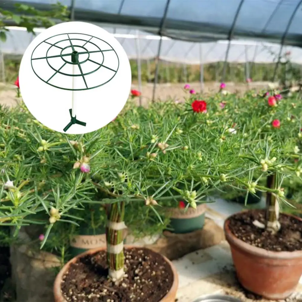 

Plant Support Stakes Home Garden Plant Flower Cage Support Ring Lollipop Stand Home Vine Climbing Shelf Holder Support Rack