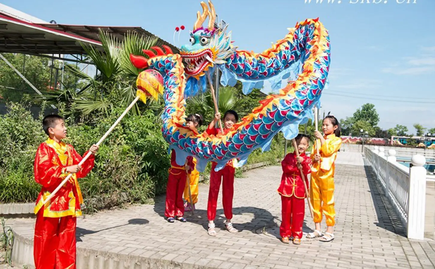 5 м 6 детский размер китайский дракон танцевальный Шелковый костюм для народного