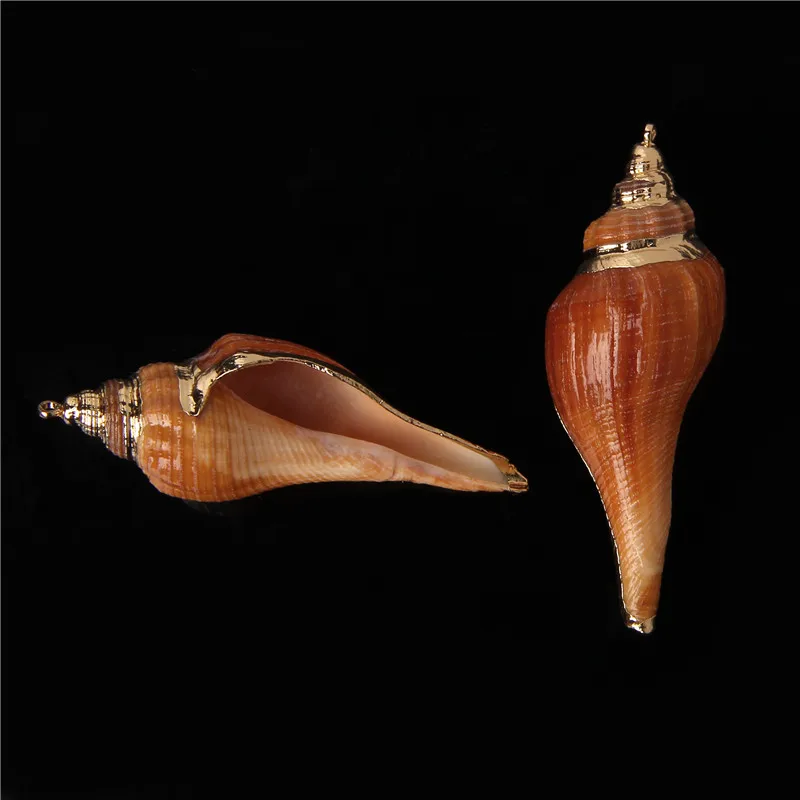 

45 Styles Natural Shell Charms Tiny Conch Charms Sea Shells Pendant for Women Foot Bracelet Necklace Punk Statement DIY Jewelry