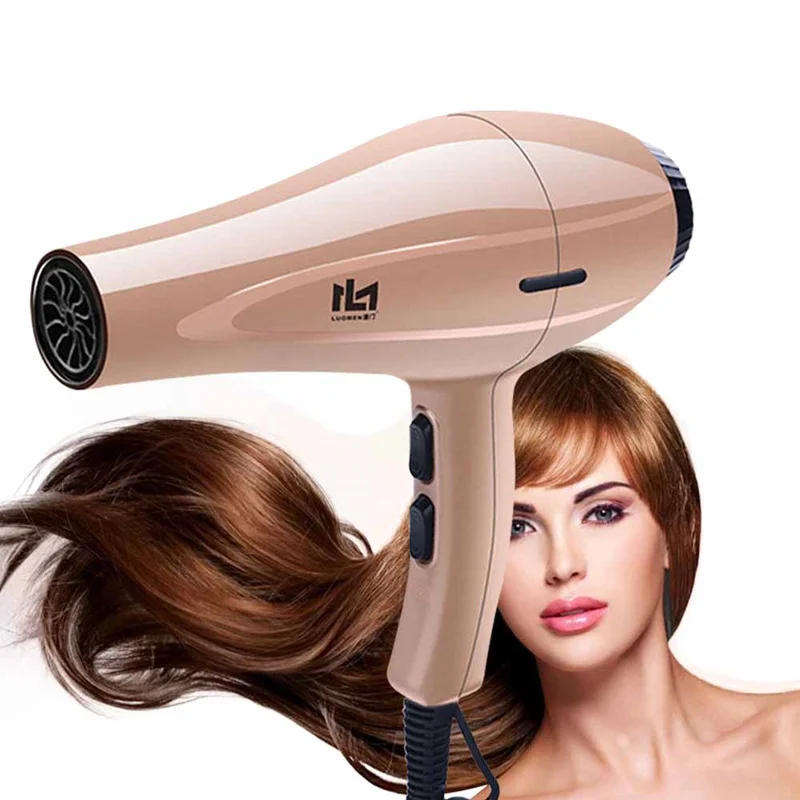 

High Power Hair Dryer for Hairdresser Professional Negative Ion Blow Dryer Hot/Cold Wind with Air Collecting Nozzle Salon Tools