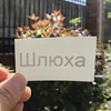 Изображение товара 2