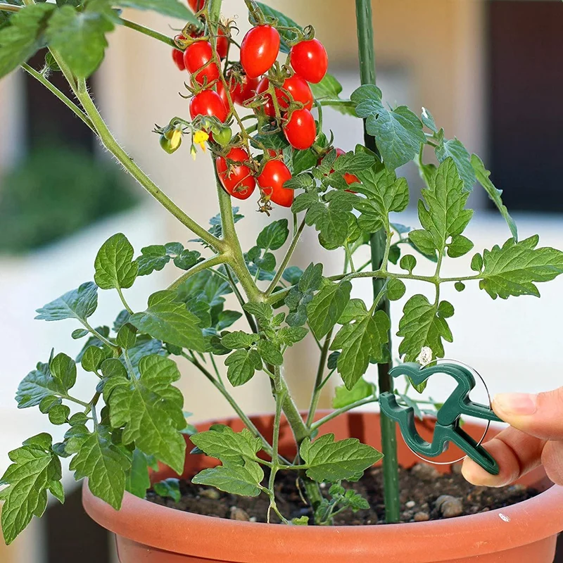 

Plant Supports,Tomato Cages Assembled Garden Plant Stakes for Vertical Climbing Plants,Plant Stakes and Support 75 Pcs