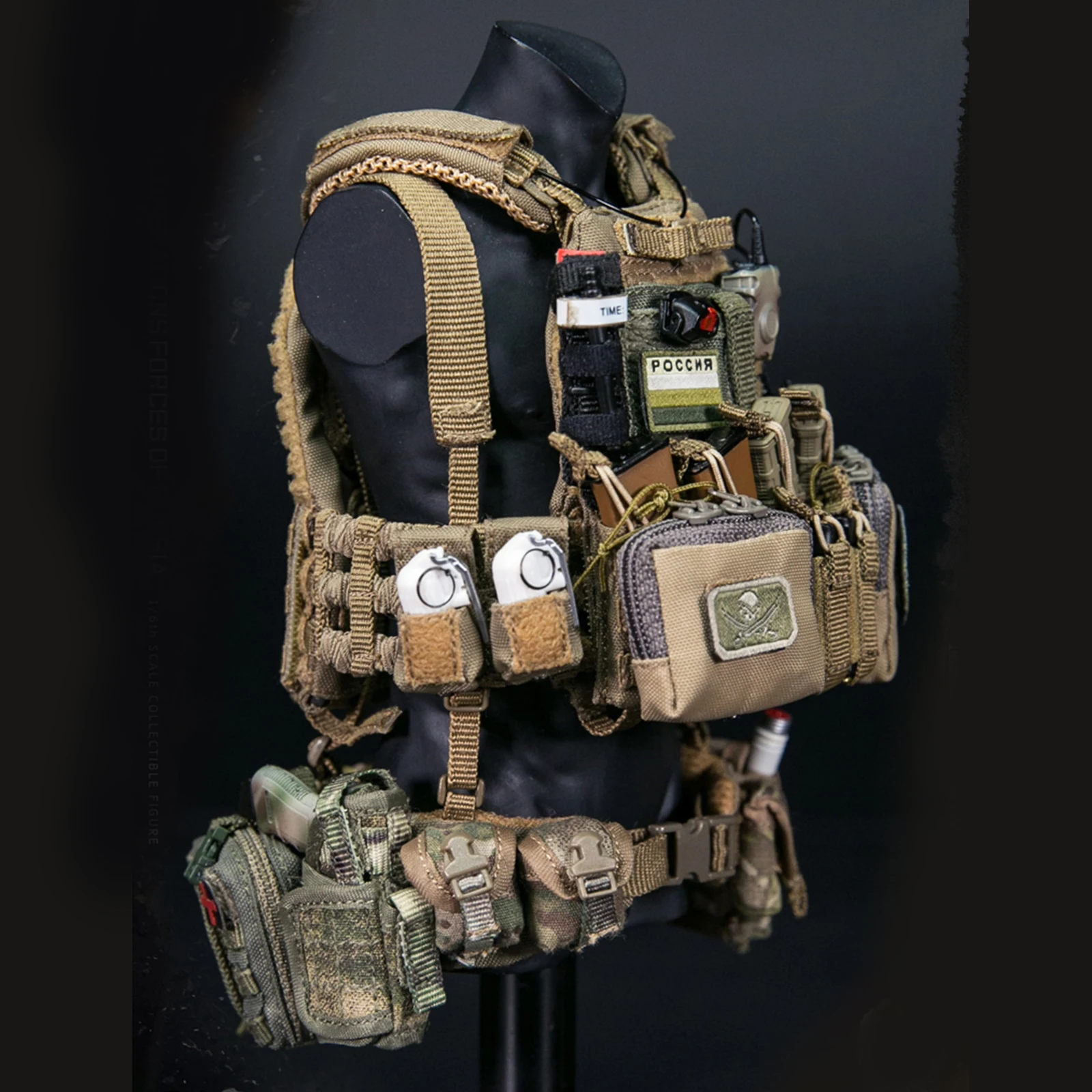 

DAMTOYS 1/6 12-Inch Russian Federation SSO Special Troops Soldier Action Figure Model with 14 Moveable Joints Collection Toy