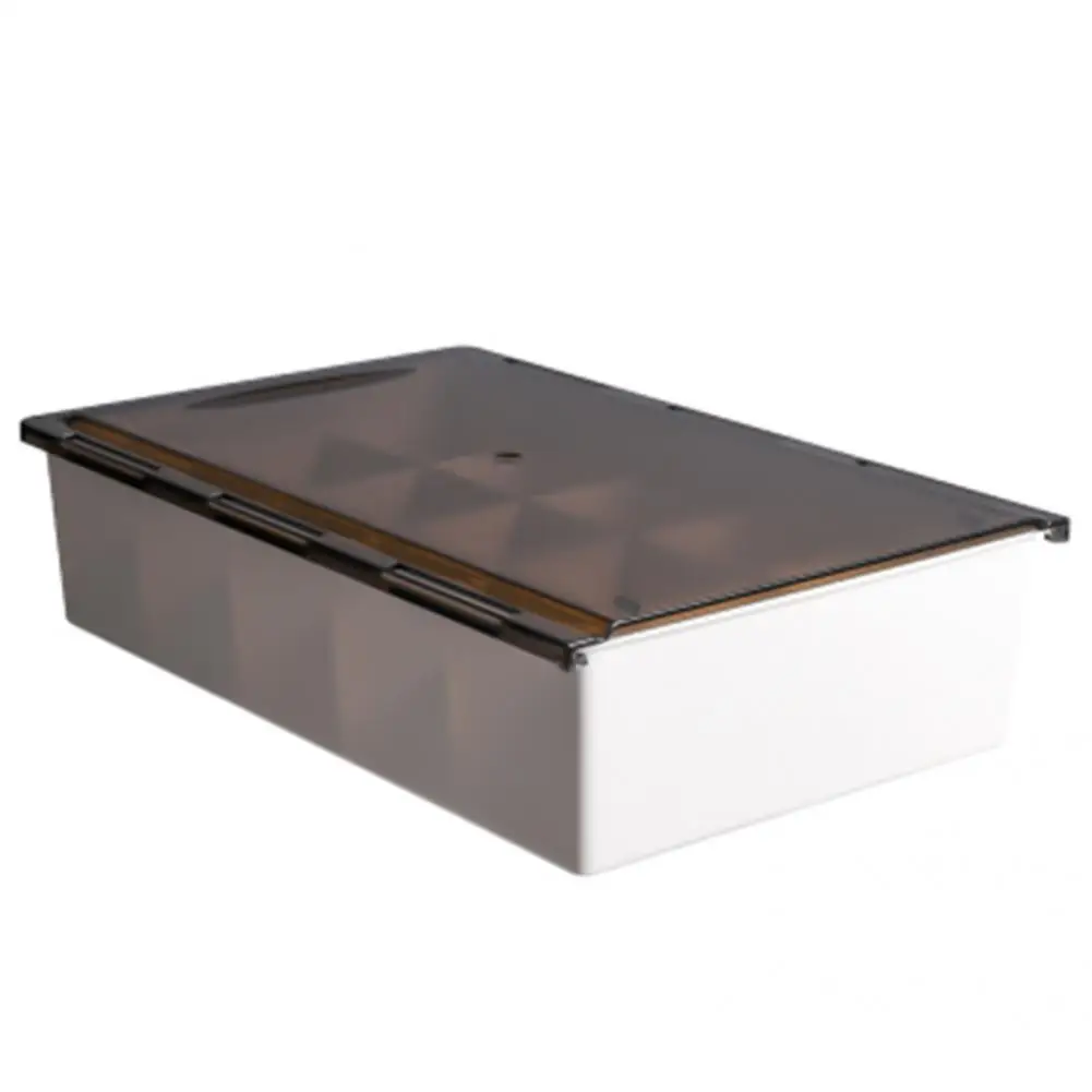 

Practical Socks Storage Box Eco-friendly Washable Lightweight Large Capacity Socks Storage Box