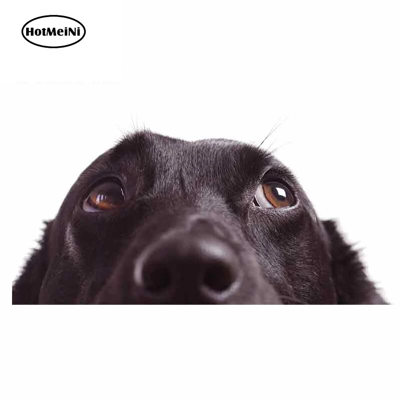 

HotMeiNi 13 см x 6,7 см для автомобиля собаки наклейки и наклейки Модные окклюзии царапины Автомобиль Стайлинг аниме 3D виниловое украшение для RV