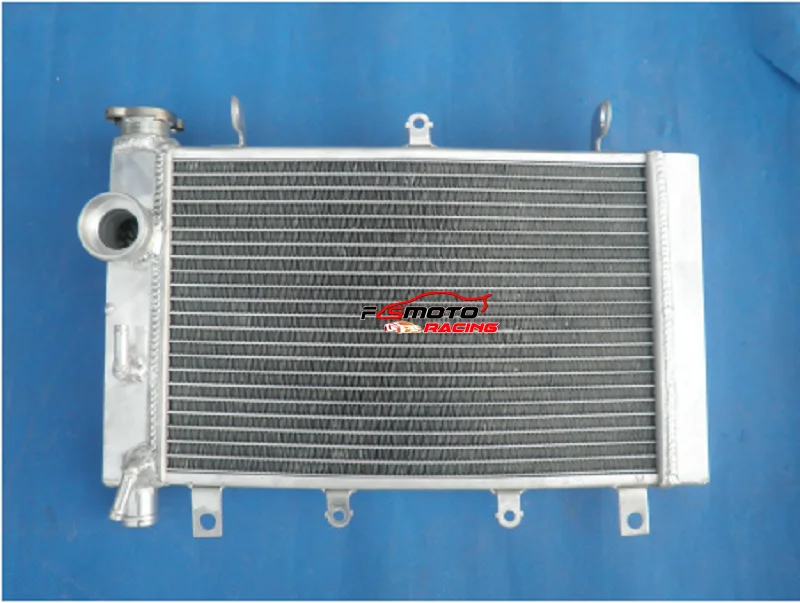 Алюминиевый радиатор охлаждения для TRIUMPH TT600 2000-2003 2000 2001 2002 2003
