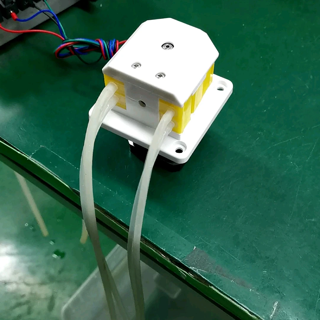 JIHPUMP 110v 220v DC 12v 24v маленький мини микро OEM перистальтический насос двухканальный 2
