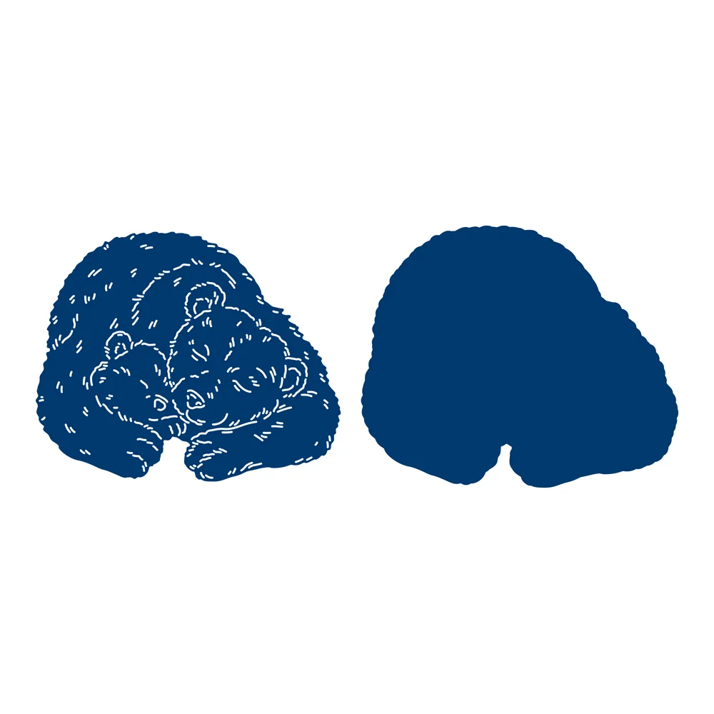 

Polar Bear Warm Hugs New Metal Cutting Dies Scrapbook Diary Decoration Stencil Embossing Template DIY Greeting Card Albums2021