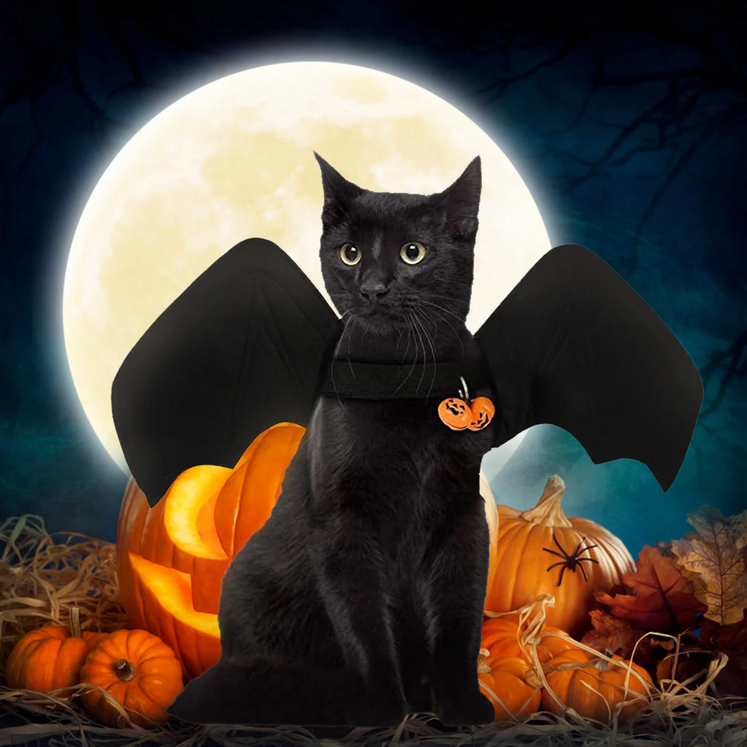 Behogar Хэллоуин крылья летучей мыши Маскарадное платье с 2 шт. тыквы воротник для