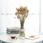 Натуральная трава кролика, настоящие милые сушеные цветы, букет, пушистая пампасная трава, декор для сада, украшение для улицы, свадьбы, Рождества