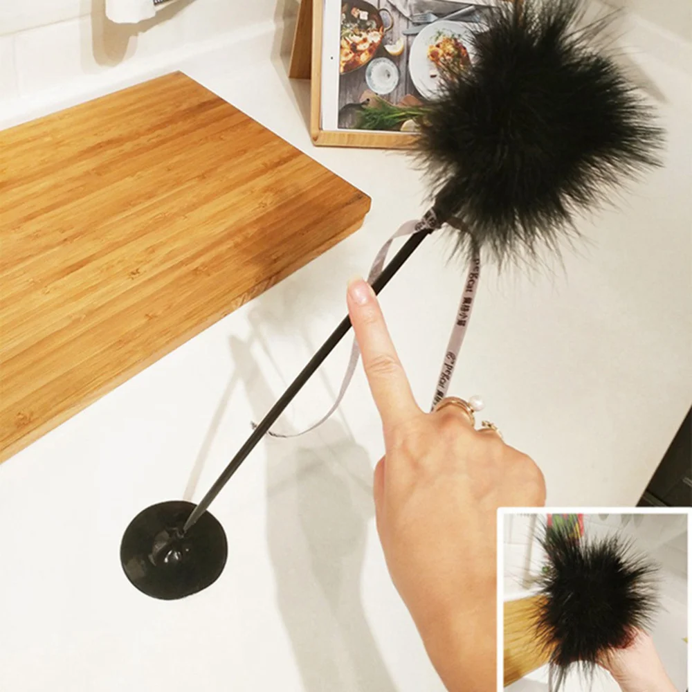 

Cat Feather Bar Funny Interactive Sucker Cat Teaser for Cat Pet Animal (Black)