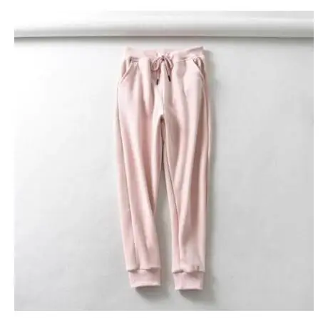 Jvzkass new thick velvet sports suit two-piece female hooded embroidery sweatshirt+ casual pants to keep warm Z332 - Цвет: Pink pants